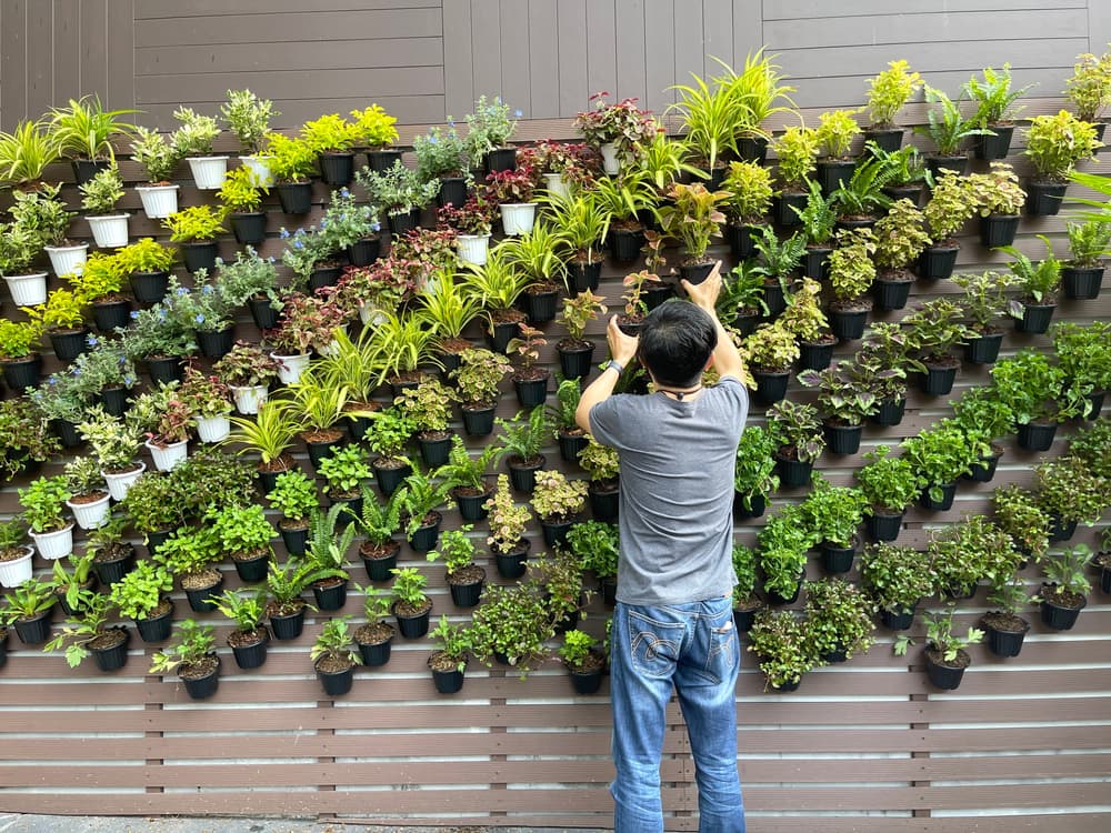 Vertical Garden Fairfield County