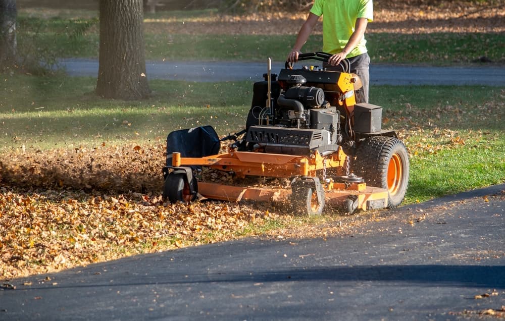 Fairfield County Fall Lawn Clean-Up