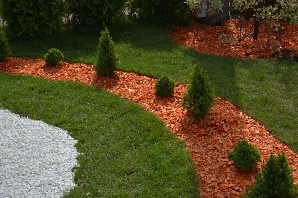 Coniferous,plants,with,pine,mulch,and,marble,crumbs,on,the