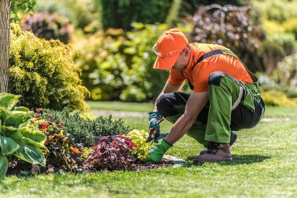 Fairfield County Exclusive Landscaping Tips