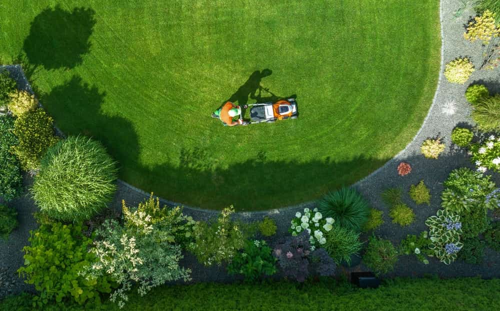 Year Round Lawn Care Services Fairfield County, Ct