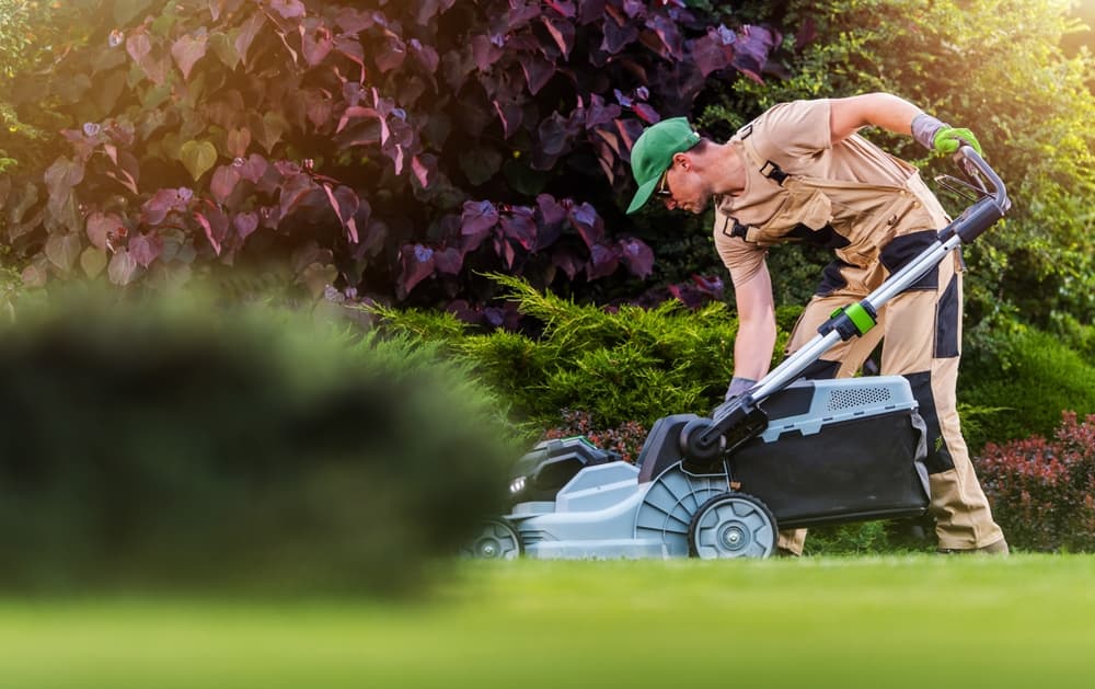 Complete Landscaping Checklist For Fairfield County