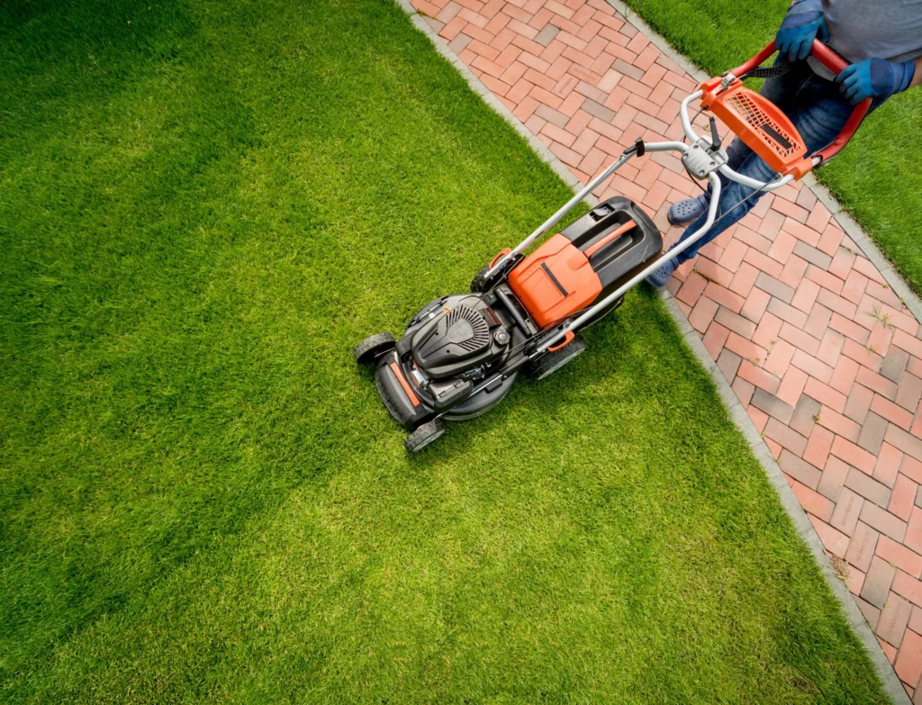 Gardener mowing lawn landscape design