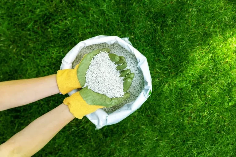 Lawn fertilization