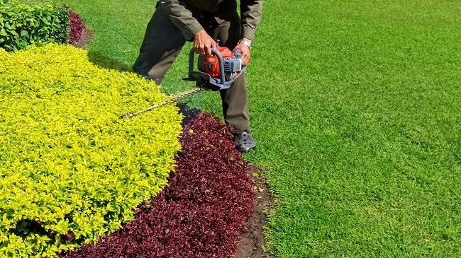 Shrub care