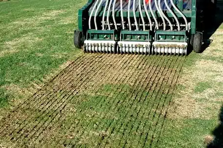 Slit seeding service stamford ct